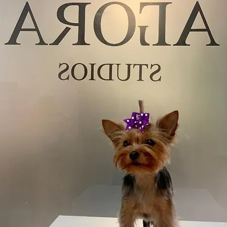 Gasthuis Agora Plovdiv