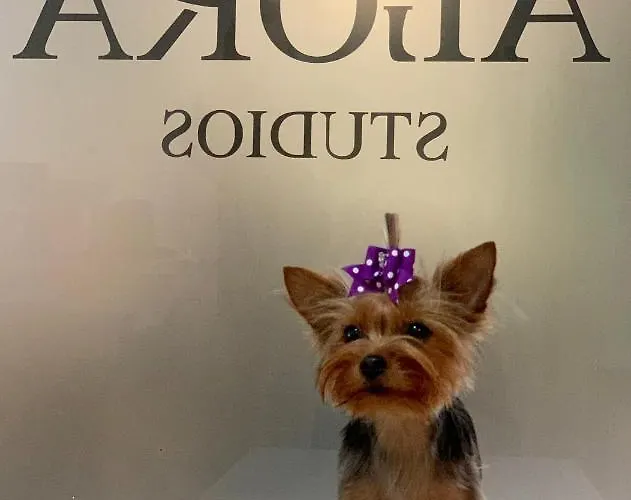 Vendégház Agora Plovdiv